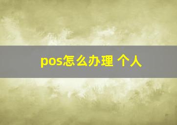 pos怎么办理 个人